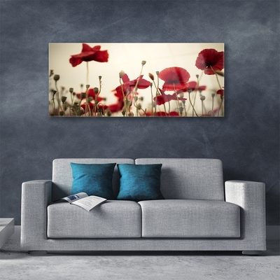 Acrylic Print Poppies floral red grey green