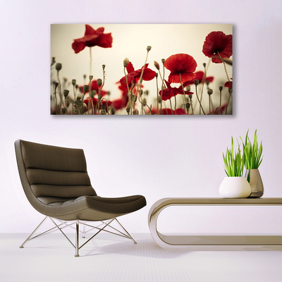 Acrylic Print Poppies floral red grey green