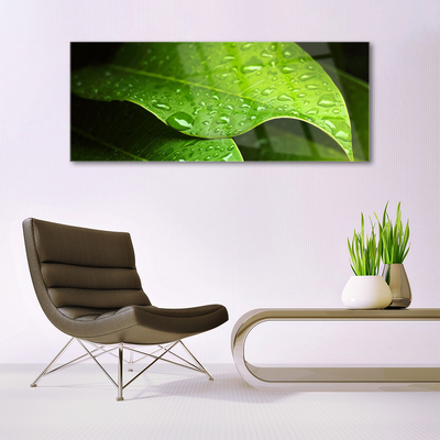 Acrylic Print Dew drops leaf floral green
