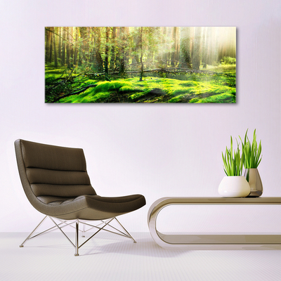 Acrylic Print Moss forest nature green
