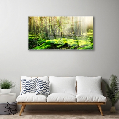 Acrylic Print Moss forest nature green