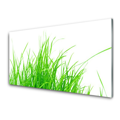 Acrylic Print Grass floral green white