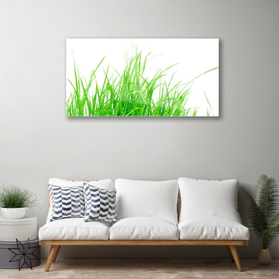 Acrylic Print Grass floral green white