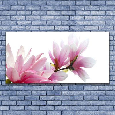 Acrylic Print Magnolia blossoms floral pink