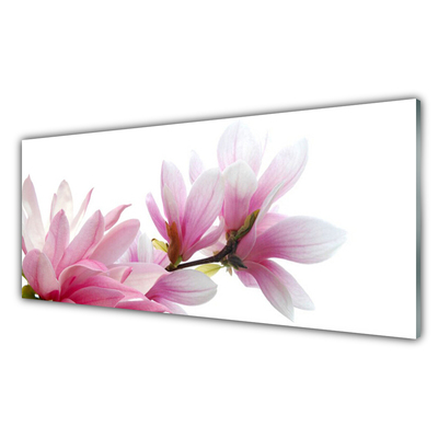 Acrylic Print Magnolia blossoms floral pink