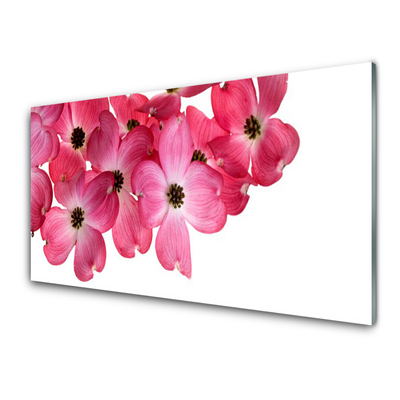 Acrylic Print Flowers floral pink white