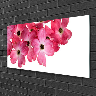 Acrylic Print Flowers floral pink white