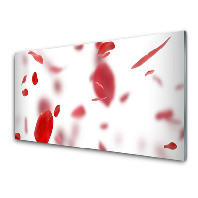 Acrylic Print Rose petals floral red white