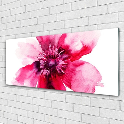 Acrylic Print Flower floral pink white