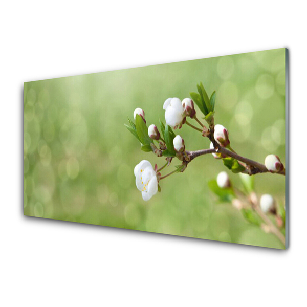 Acrylic Print Flowers floral green white
