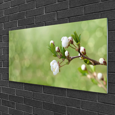 Acrylic Print Flowers floral green white