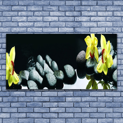 Acrylic Print Flower stones floral yellow black