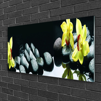 Acrylic Print Flower stones floral yellow black
