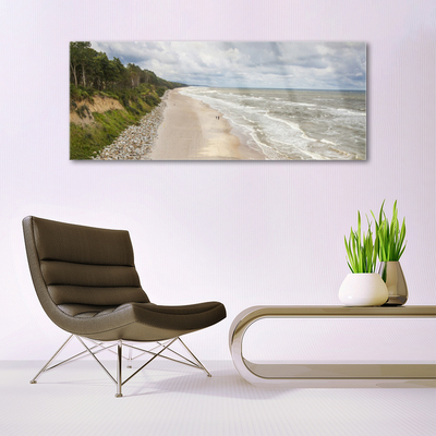 Acrylic Print Beach sea tree nature grey green white
