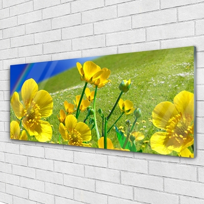 Acrylic Print Meadow flowers rainbow nature yellow blue green