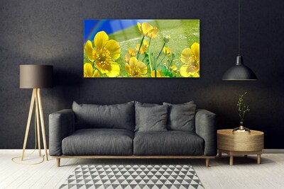 Acrylic Print Meadow flowers rainbow nature yellow blue green