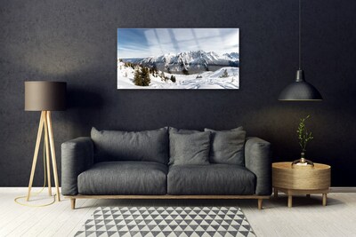 Acrylic Print Mountains landscape white green grey