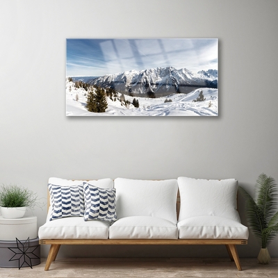 Acrylic Print Mountains landscape white green grey