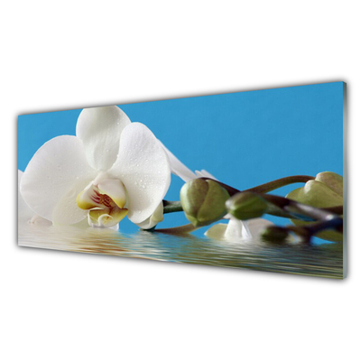Acrylic Print Flower floral white green blue