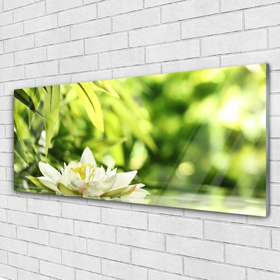 Acrylic Print Flower leaves floral white green yellow