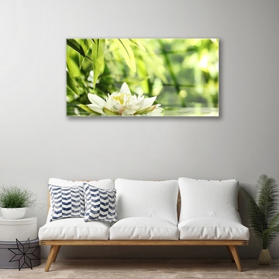Acrylic Print Flower leaves floral white green yellow