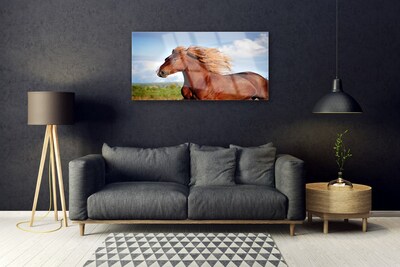 Acrylic Print Horse animals brown blue green