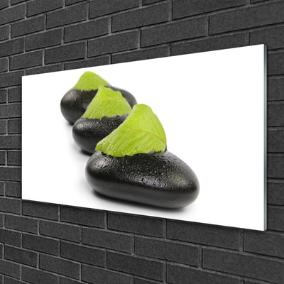 Acrylic Print Stones art black green white