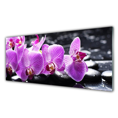 Acrylic Print Flower stones floral purple black