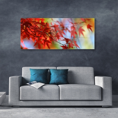 Acrylic Print Leaves nature red