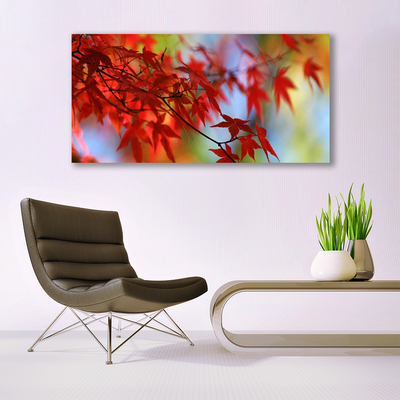 Acrylic Print Leaves nature red