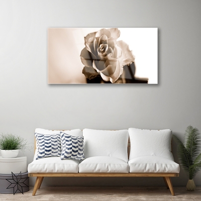 Acrylic Print Rose floral sepia