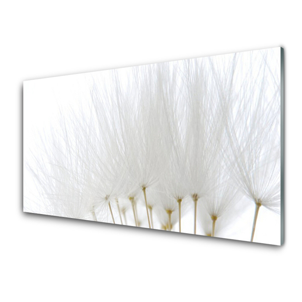 Acrylic Print Flowers floral white