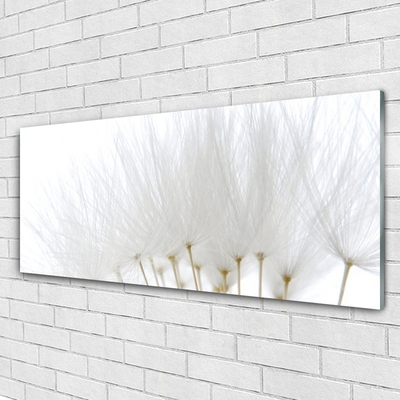 Acrylic Print Flowers floral white