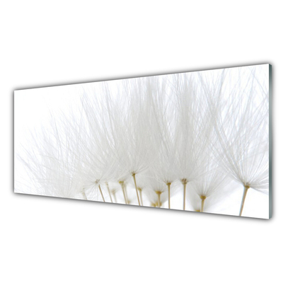 Acrylic Print Flowers floral white