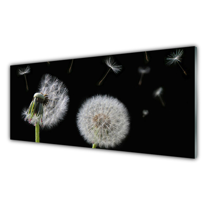 Acrylic Print Dandelion floral white black