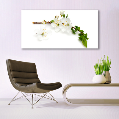 Acrylic Print Flower branch nature white brown green