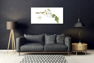 Acrylic Print Flower branch nature white brown green