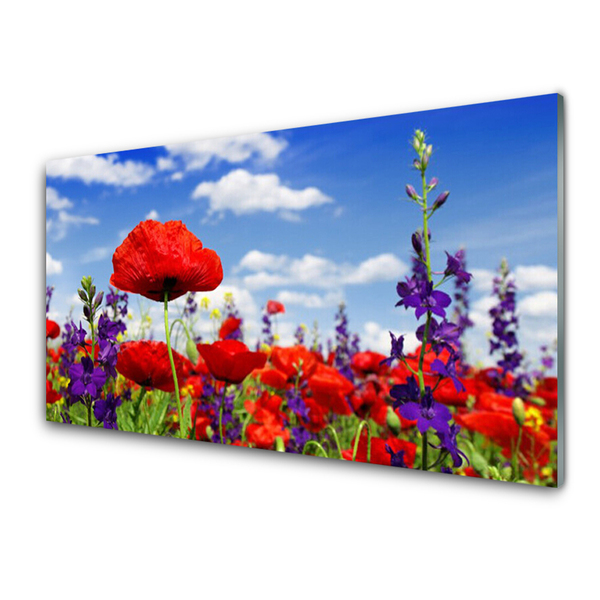 Acrylic Print Flowers nature red blue purple green