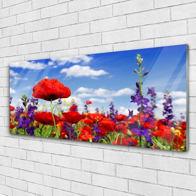 Acrylic Print Flowers nature red blue purple green