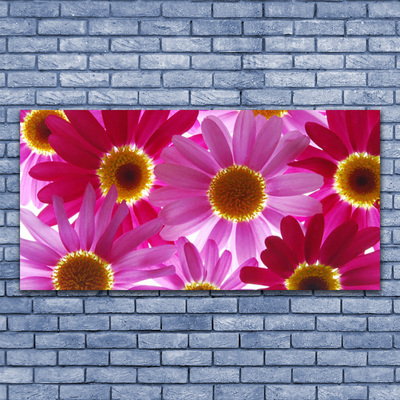 Acrylic Print Flowers floral pink yellow