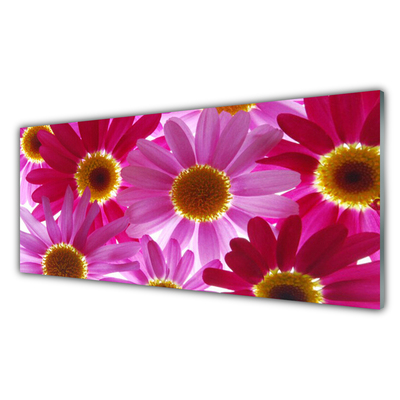 Acrylic Print Flowers floral pink yellow