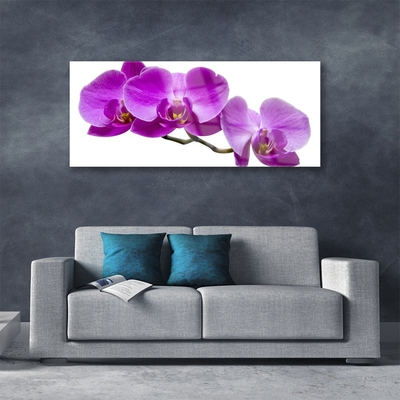 Acrylic Print Flowers floral purple brown