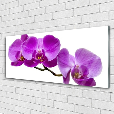 Acrylic Print Flowers floral purple brown