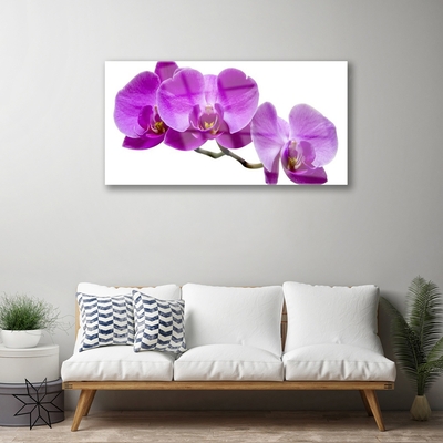 Acrylic Print Flowers floral purple brown