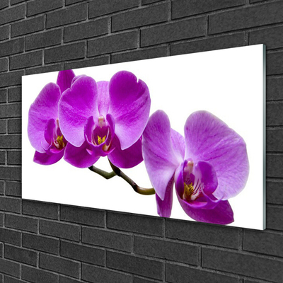 Acrylic Print Flowers floral purple brown