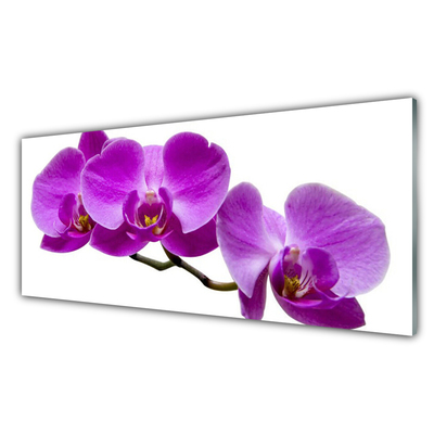 Acrylic Print Flowers floral purple brown