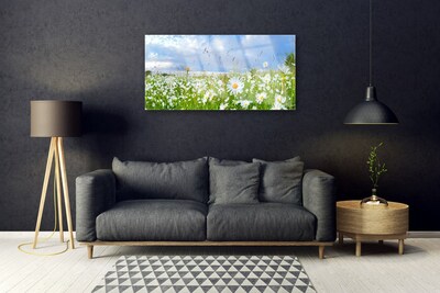 Acrylic Print Meadow daisies nature white yellow green blue