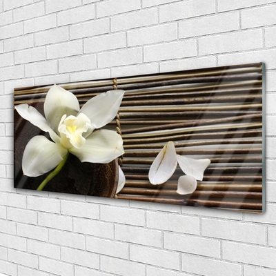 Acrylic Print Flower floral white brown green
