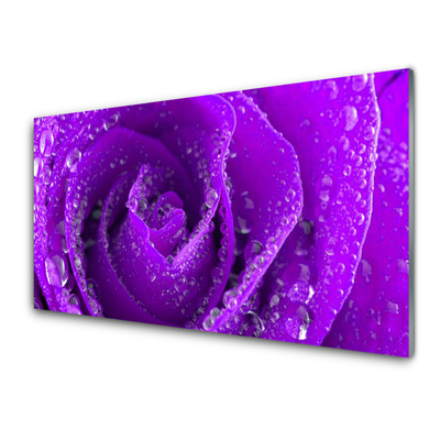 Acrylic Print Rose floral purple