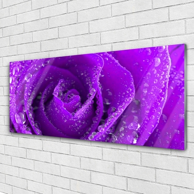 Acrylic Print Rose floral purple